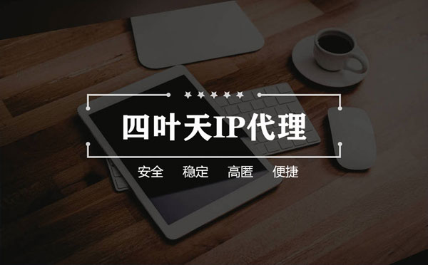 【垦利代理IP】如何快速搭建代理IP？怎么检查代理的效果？